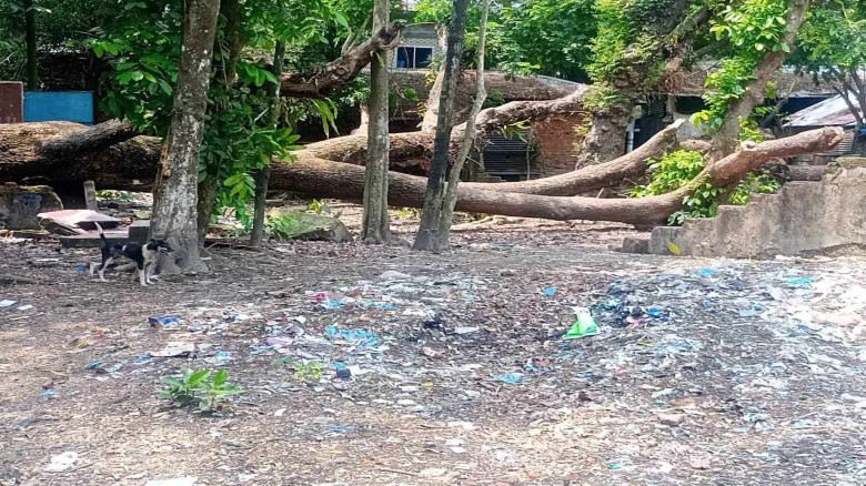 ঝালকাঠির নলছিটিতে শহীদ মিনার মাদকসেবীদের নিরাপদ আশ...