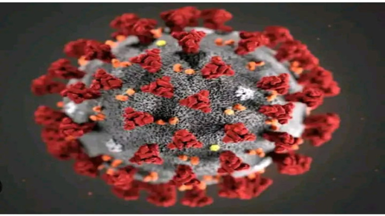 যশোরে করোনার নতুন ধরন ওমিক্রন শনাক্ত, আক্রান্ত এক ...