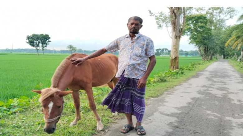 শখের ঘোড়ার কদর বেড়েছে কোটচাঁদপুরে আসাদুলের...