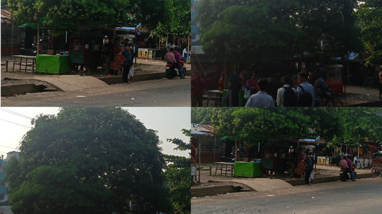 প্রতিনিধি,আবদুল্লাহ আল শাহিদের তোলা ছবি।