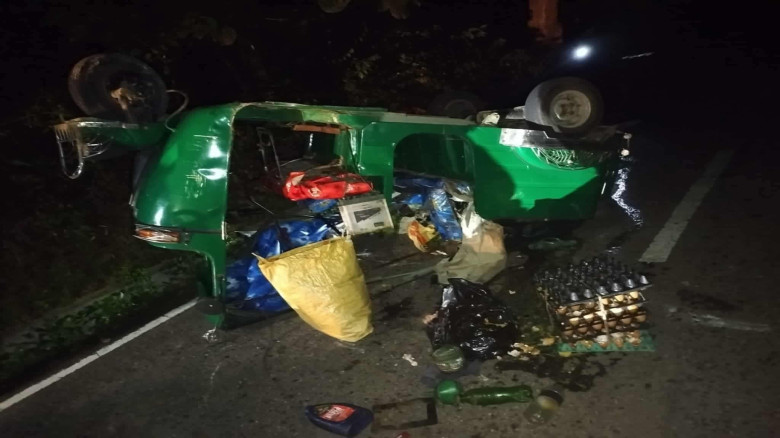 কাপ্তাইয়ে বন্যহাতির আক্রমণে অটোরিকশা খাদে, আহত দুই...