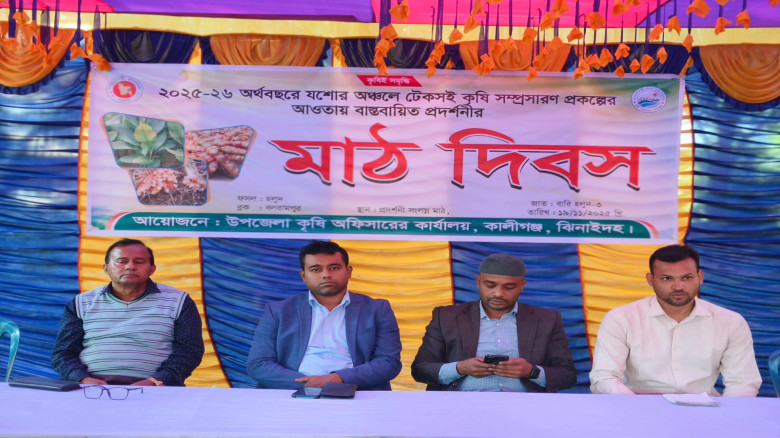 টেকসই কৃষি প্রকল্পে বারি হলুদ-৩ প্রদর্শনীতে মাঠ দি...